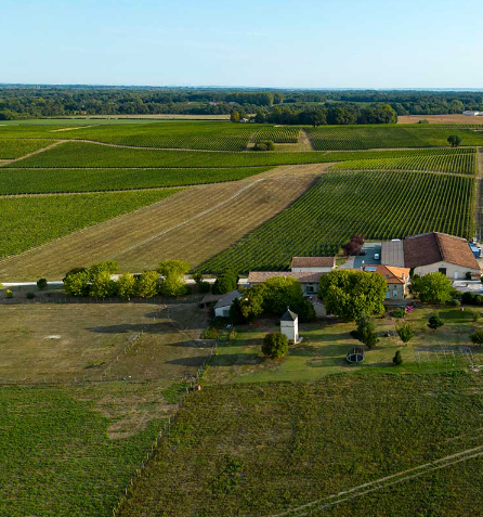 Château Pierre de Montignac